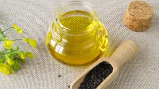 Canola Oil