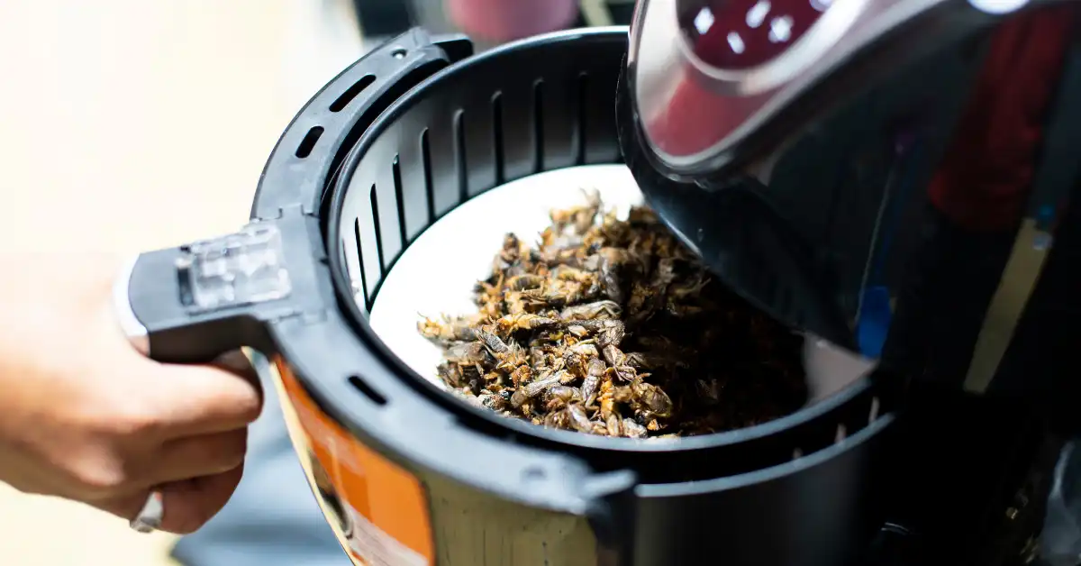 Paper plates in air fryer basket