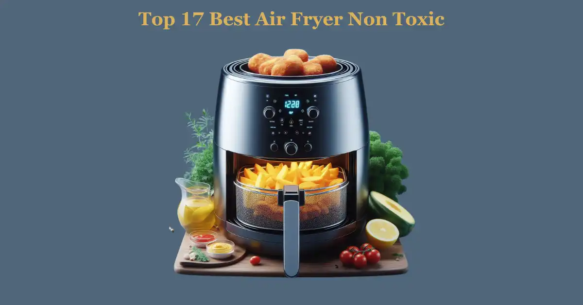 Top 17 Best Air Fryer Non Toxic