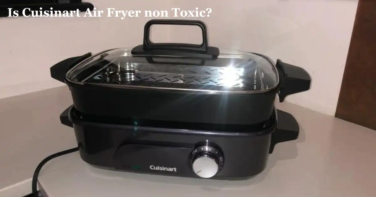 Is Cuisinart Air Fryer Non Toxic