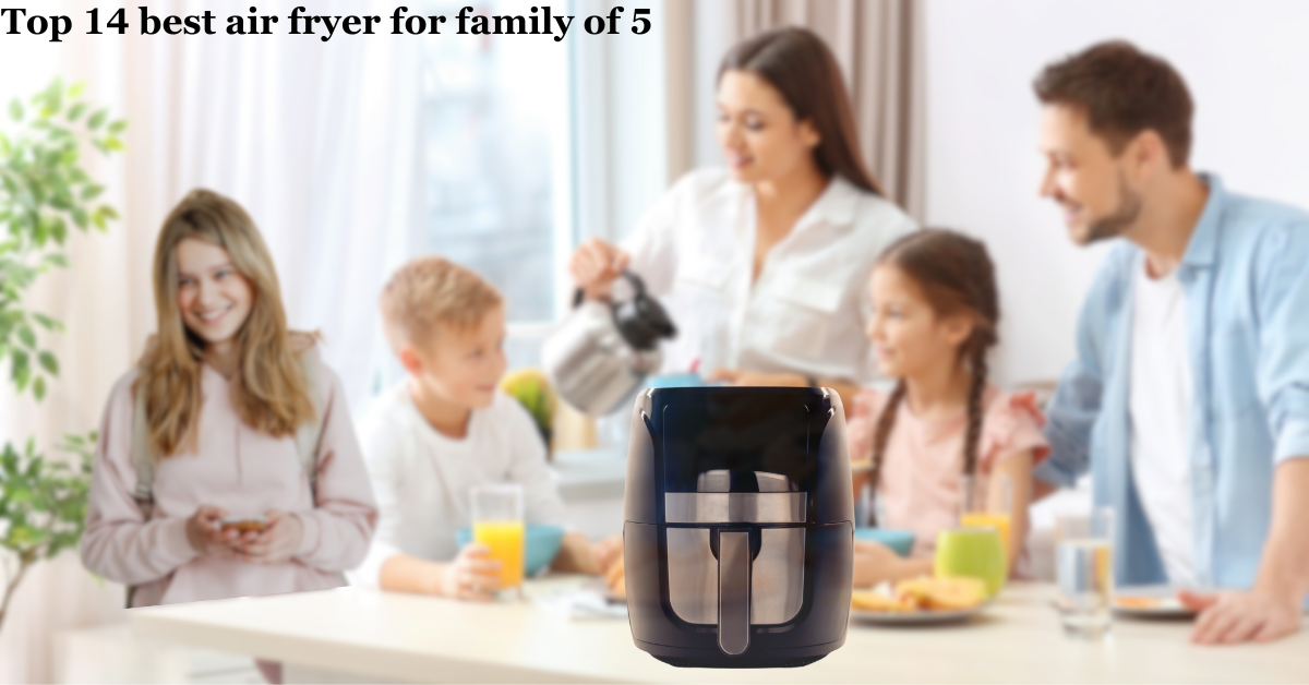 best air fryer for family of 5